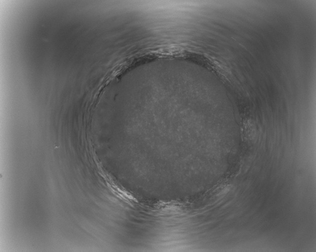 X0000058770913200510171222