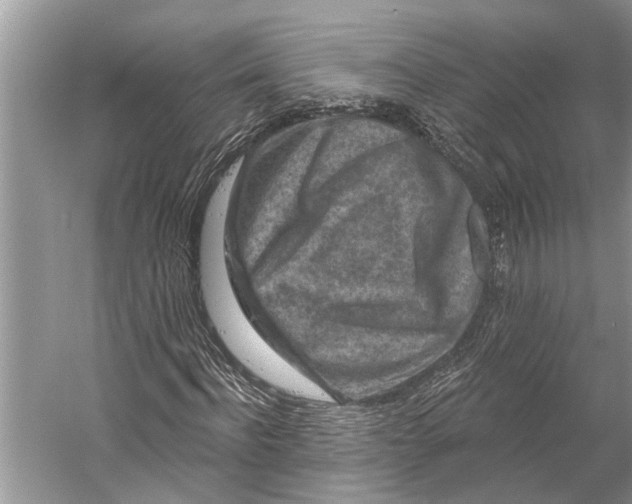 X0000058770916200510171222