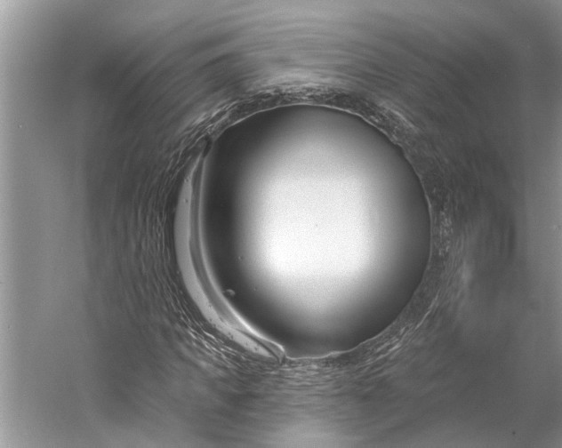 X0000058770917200510171222