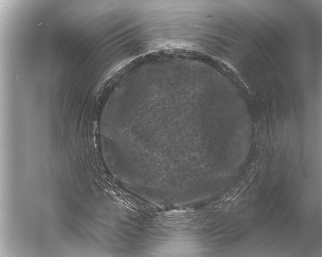 X0000058770919200510171222