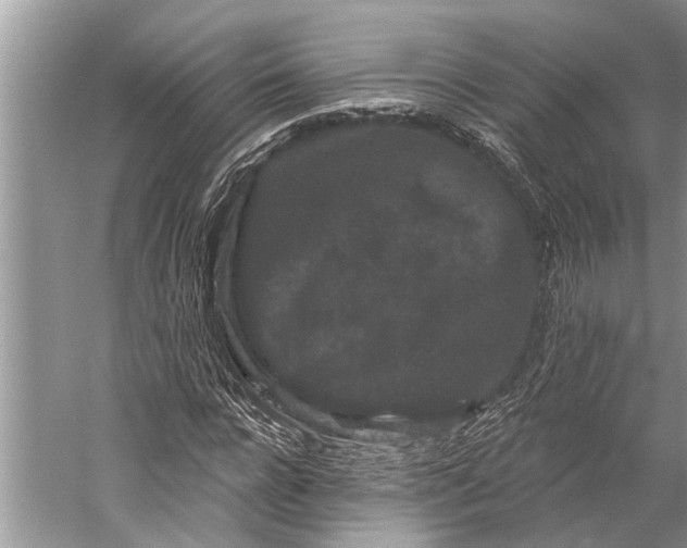 X0000058770920200510171222