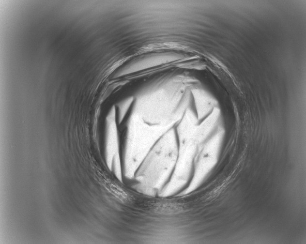 X0000058770921200510171222