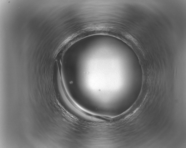 X0000058770922200510171222