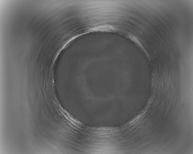 X0000058770923200510171222