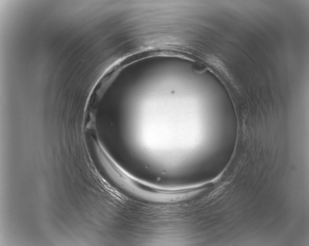 X0000058770924200510171222