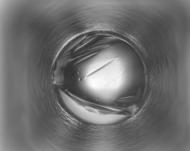 X0000058770926200510171222