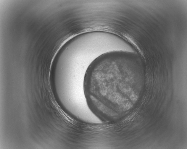 X0000058770932200510171222