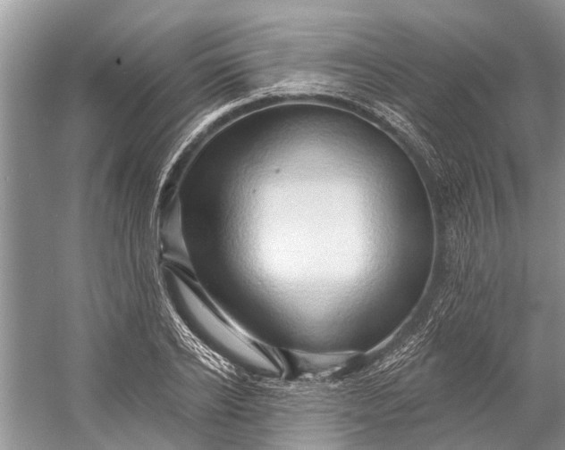 X0000058770934200510171222