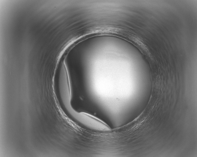 X0000058770936200510171222