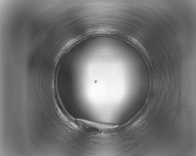 X0000058770938200510171222