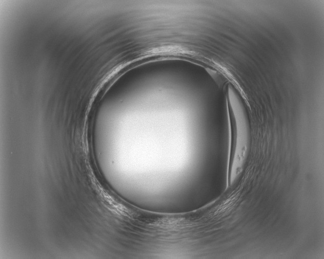 X0000058770939200510171222