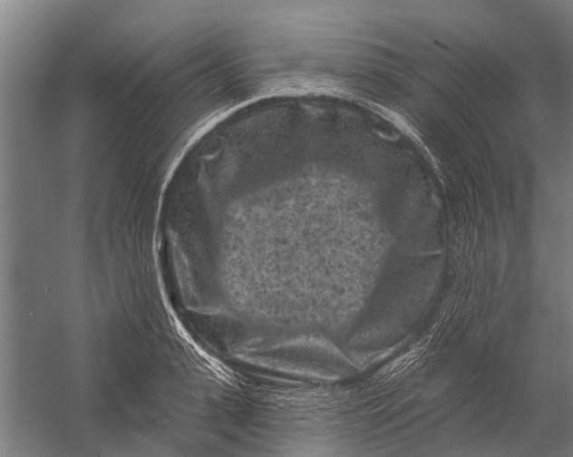 X0000058770943200510171222