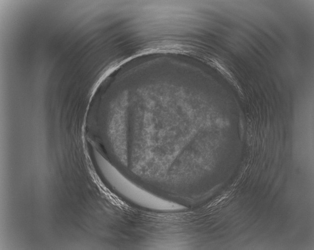 X0000058770944200510171222