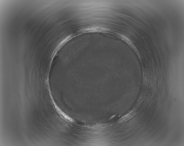 X0000058770946200510171222