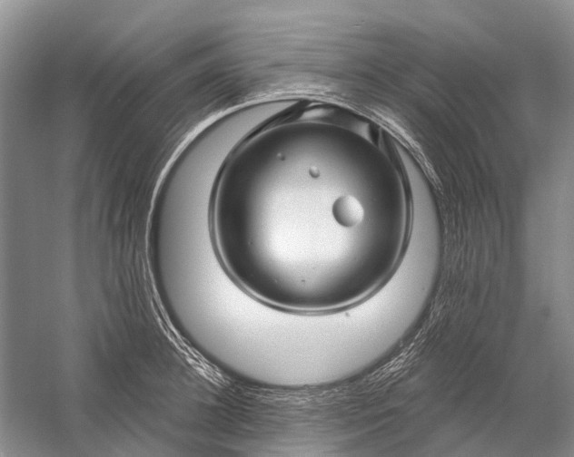 X0000058770948200510171222