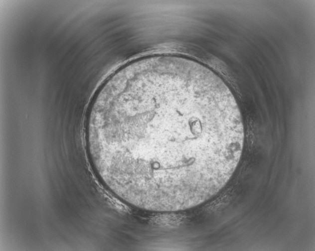 X0000058770950200510171222