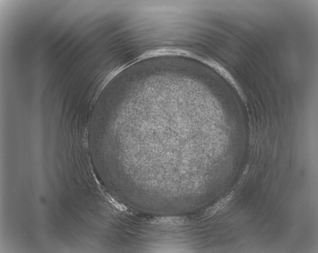 X0000058770953200510171222