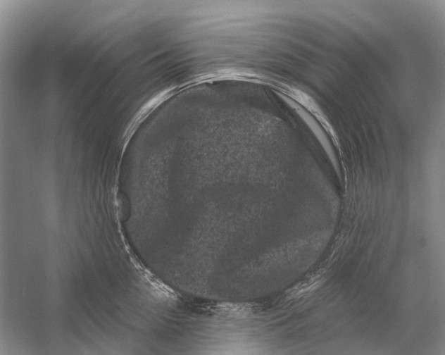 X0000058770954200510171222