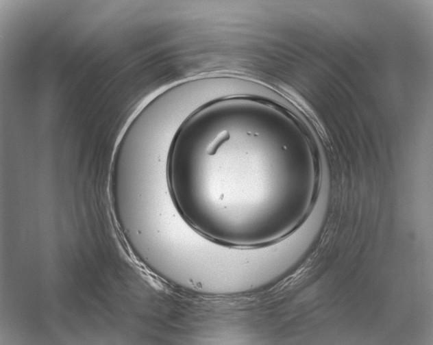 X0000058770956200510171222