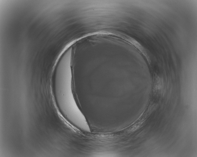 X0000058770958200510171222