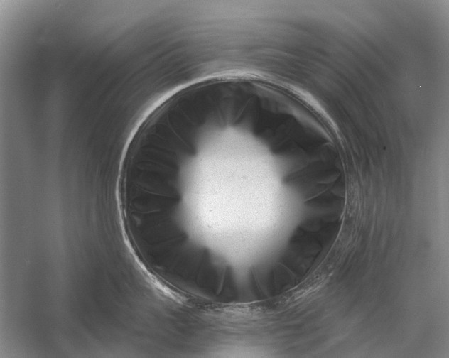 X0000058770959200510171222