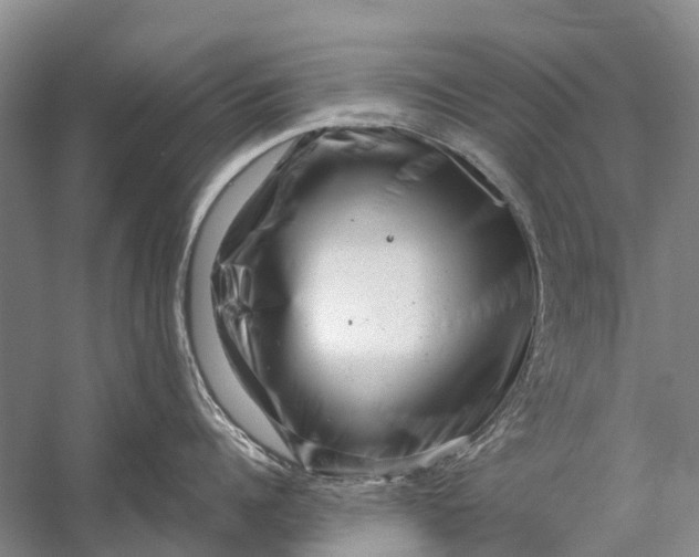 X0000058770960200510171222