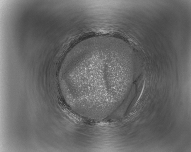 X0000058770961200510171221