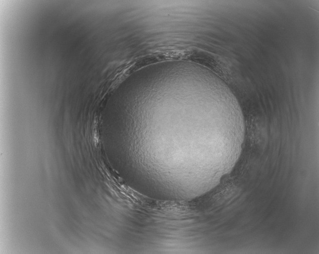 X0000058770962200510171221