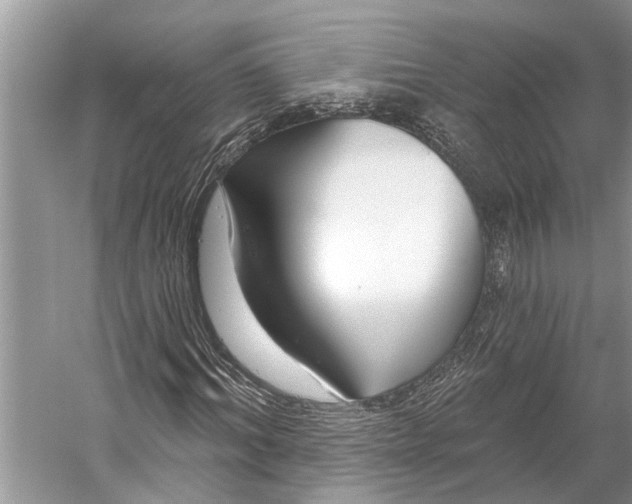 X0000058770964200510171221