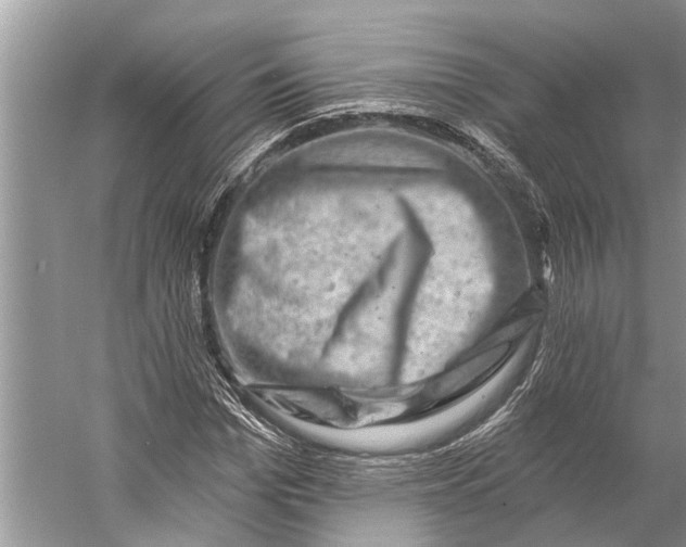 X0000058770969200510171221