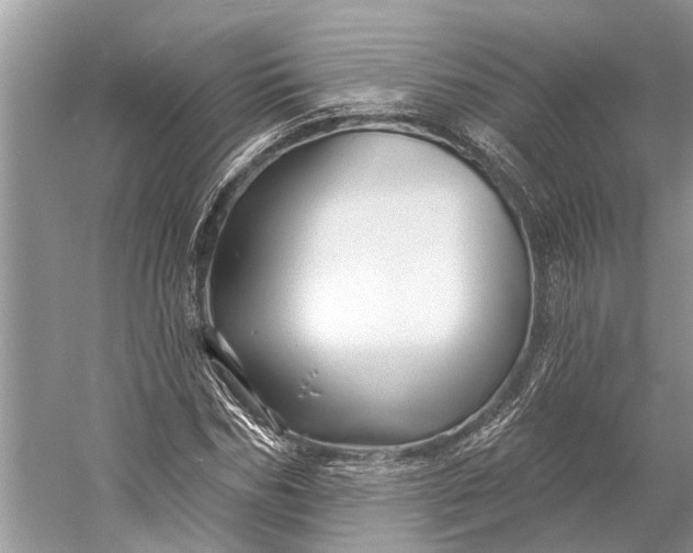 X0000058770970200510171221