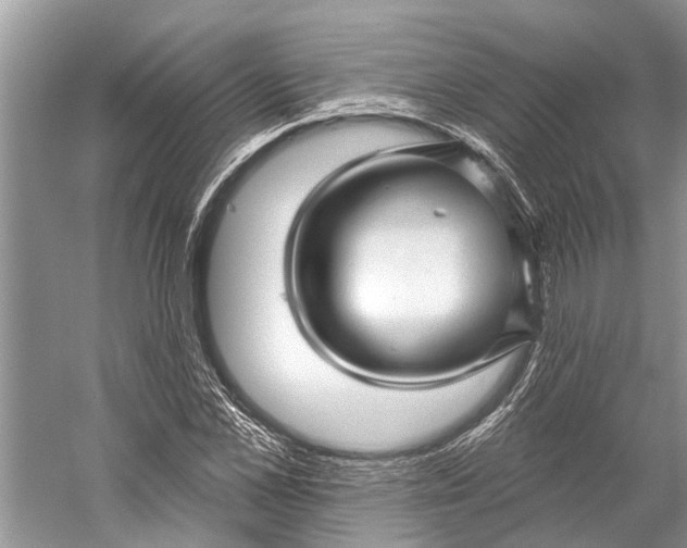 X0000058770973200510171221