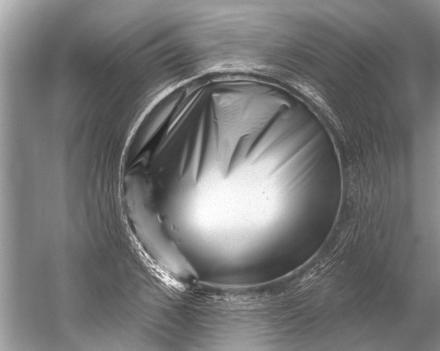 X0000058770976200510171221