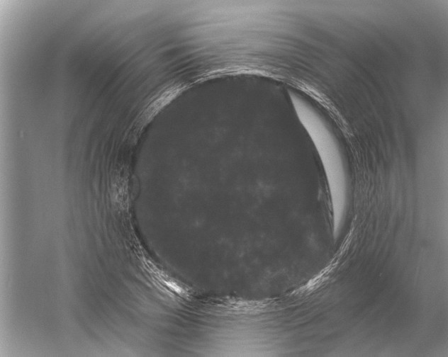 X0000058770977200510171221