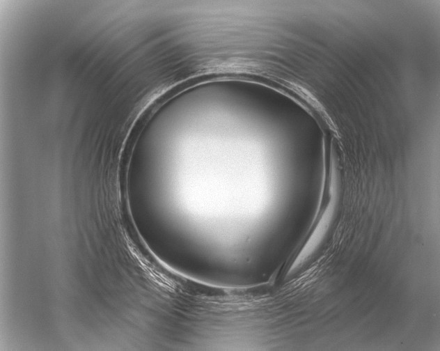 X0000058770980200510171221