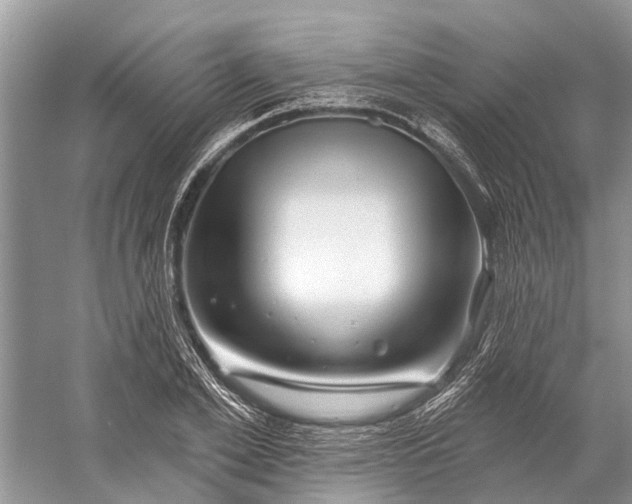 X0000058770981200510171221