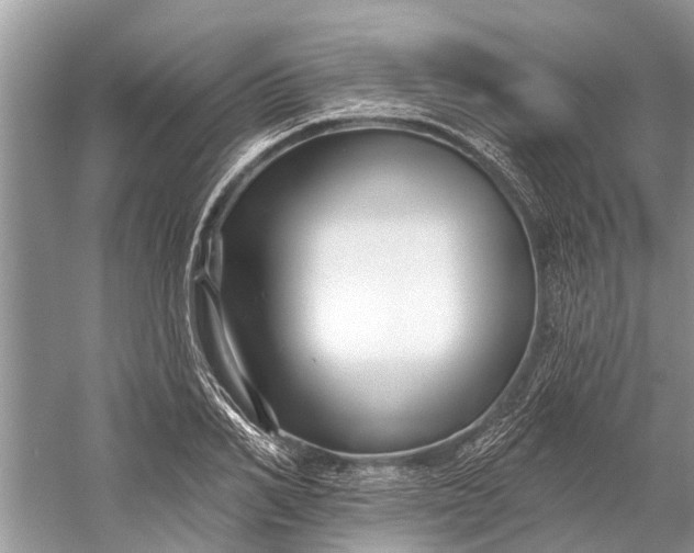 X0000058770982200510171221