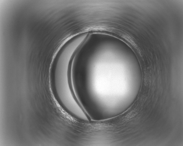 X0000058770984200510171221