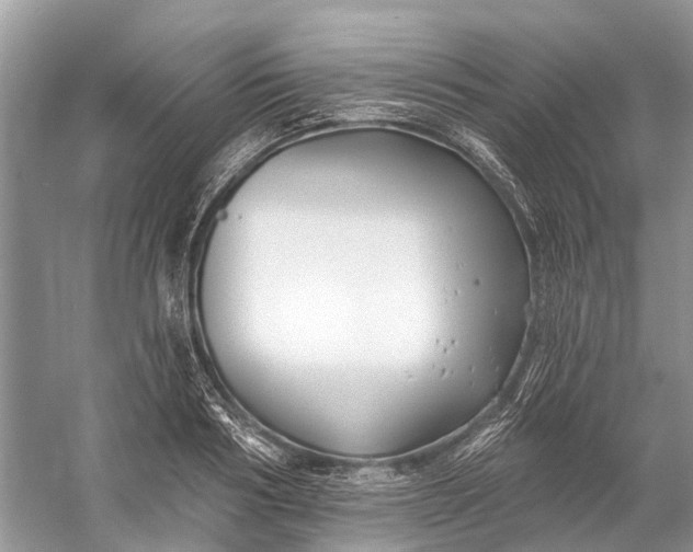 X0000058770986200510171221