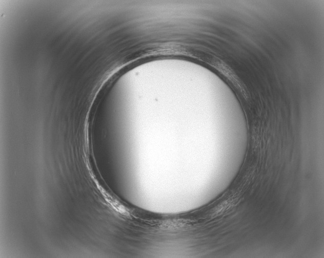 X0000058770988200510171221