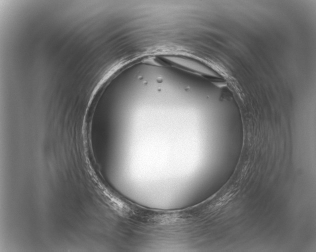 X0000058770990200510171221