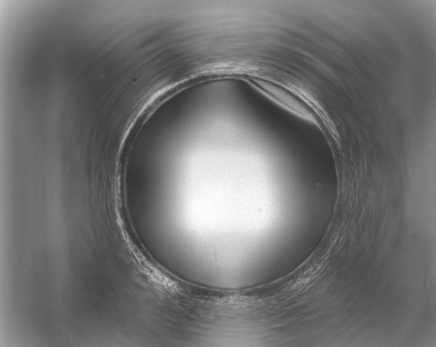 X0000058770992200510171221