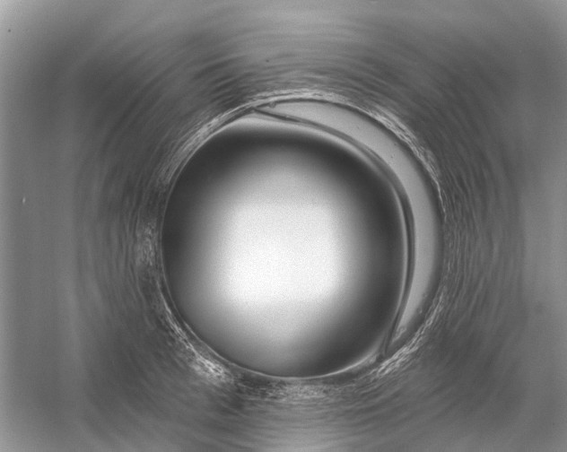 X0000058770993200510171221