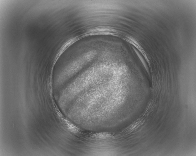 X0000058770994200510171221