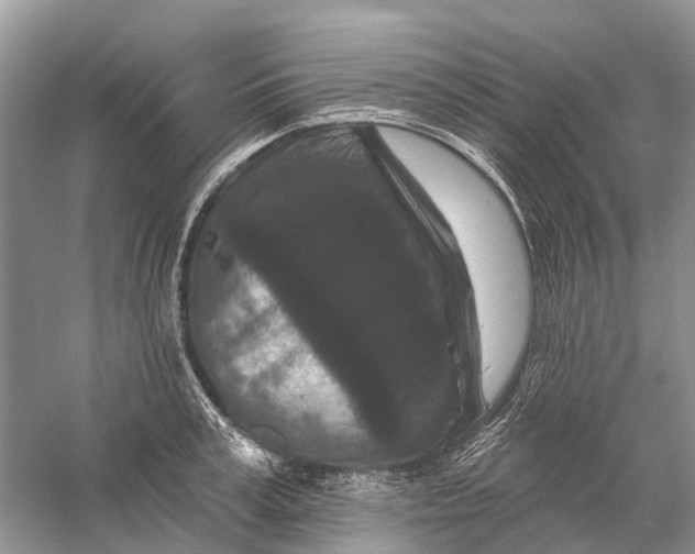 X0000058770995200510171221