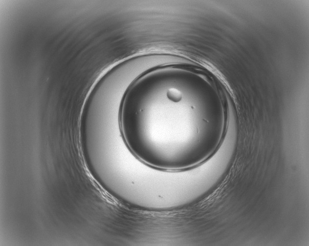 X0000058770996200510171221