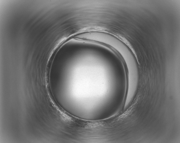 X0000058770997200510171221