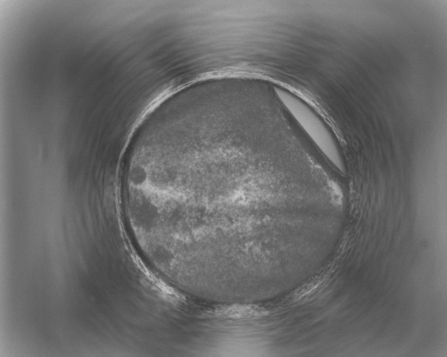 X0000058770998200510171221