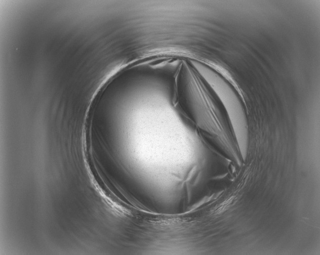 X0000058770999200510171221