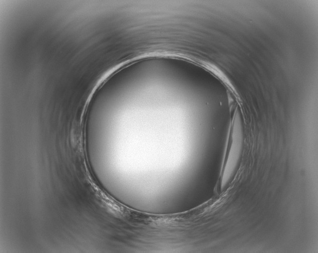 X0000058771004200510171221